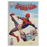 Amazing Spider-Man # 502 (Marvel Comics 2004)