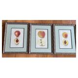 Lot of 3 Framed Botanical Lithographs