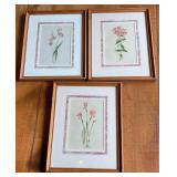 3 Framed Botanical Prints