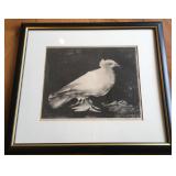 Framed Black & White Print of a Dove by Pablo Pica