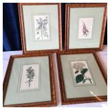 Lot of 4 framed Botanical Prints
