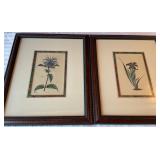 2 Botanical Prints by Curtis Framed