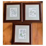 4 Framed Botanical Prints