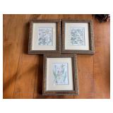3 Botanical Prints in Wood Frames
