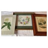 3 Botanical Prints, Largest 12.5 ins. x 14 ins.