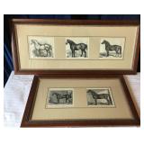 Framed Antique Livestock Journal Equestrian Prints