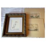 Hand-Colored Bird Prints