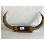 Mounted Horns