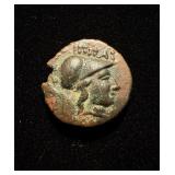 196BC Dicalkon Nice XF Athena