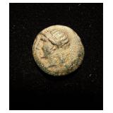 200BC Glossy AU Apollo-Horse