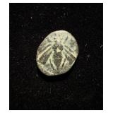 Bee-Stag VF+ Iona Esphus