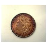 1882 Morgan Purple Toning