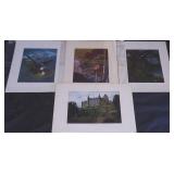 1950s Dufex Foil Art Prints England