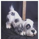 Capodimonte Italy Playful Dalmatian Pup