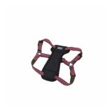 Coastal Berry Reflective Dog Harness
