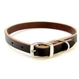 Coastal Latigo Leather Dog Collar 0.4 W x 12 D