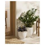 11.25" Stoneware Indoor/Outdoor Planter Pot...