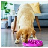 Outward Hound Fun Feeder Slo Bowl, Large Slow...