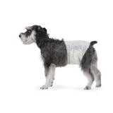 Amazon Basics Male Dog Diapers, 30 Count,...