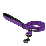 Best Pet Supplies Voyager Reflective Dog Leash...