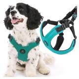 Gooby Escape Free Sport Harness - Turquoise,...