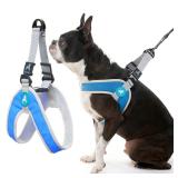 Gooby Simple Step in III Harness - Blue, Medium...