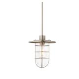 Home Decorators Collection 1-Light Brushed...