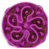 Outward Hound Large Slow Feeder Bowl, Puzzle...