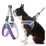 Gooby Purple Dog Harness - $12.99