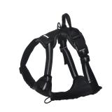 Amazon Basics No-Pull Dog Harness, Adjustable...