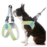 Gooby Simple Step in III Harness - Green, Small...