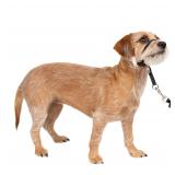 PetSafe Gentle Leader Black Headcollar $11.22