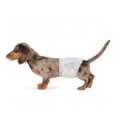 Amazon Basics Absorbent, Leakproof Male Dog...