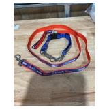 A&S, Florida Gators - Martingale Dog Collar &...