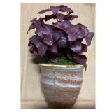 Oxalis Plant, Burgundy Leaves, Decorative Pot