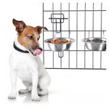 Set of 2 Stainless-Steel Dog Bowls - Cage,...