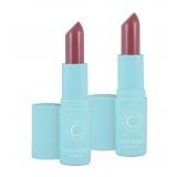Carmindy Beauty Perfect Rose Lipstick 2 Pack