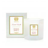 Antica Farmacista Candle 9 Oz