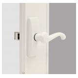 Larson Storm Door Georgian Lever