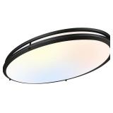 Hykolity 32 Inch Oval LED Ceiling Light
