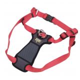 Coastal Padded Dog Harness MED 20-30