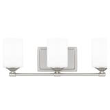 -Light Vanity Light 20.88 in.