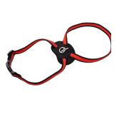 Coastal 18-24 Dog Harness