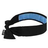 Ergodyne Cooling Bandana 2-Pack