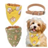 Timoey Dog Collar  Bandana Set Large