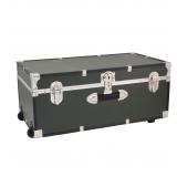 Seward Trunk Rover 30x15.75 Storage