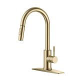 Brushed Gold Single Handle Kitchen Faucet
