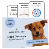 Wisdom Health Dog DNA Kit 1-Pack