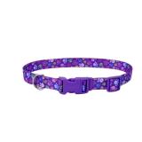 Coastal 38 x 8-12 Adjustable Dog Collar