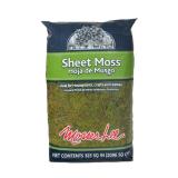 Mosser Lee Sheet Moss 325 sq. in.